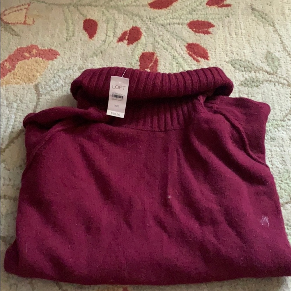 Loft Turtleneck Sweater